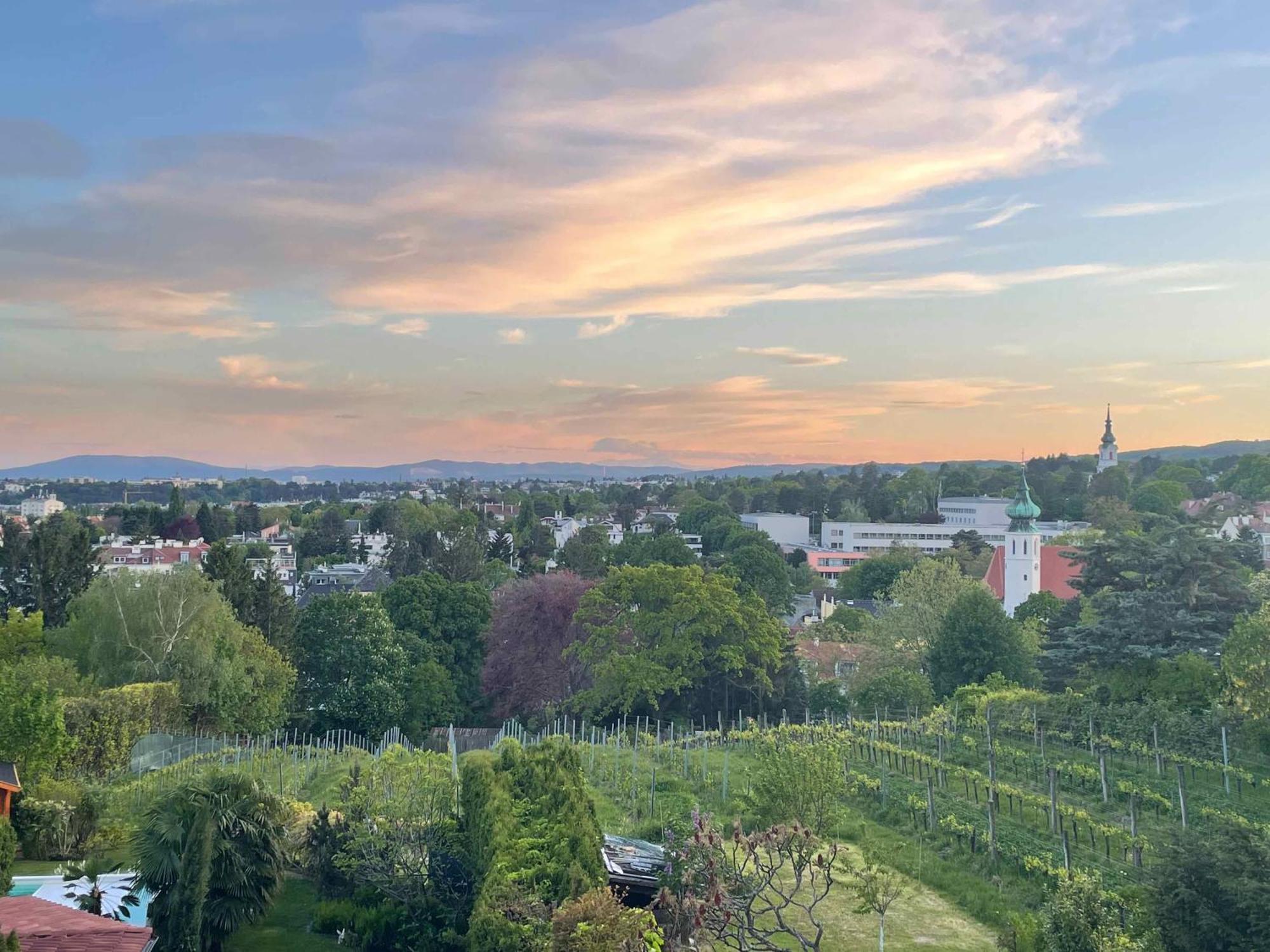 Herrlicher Ausblick Ueber Wien Экстерьер фото