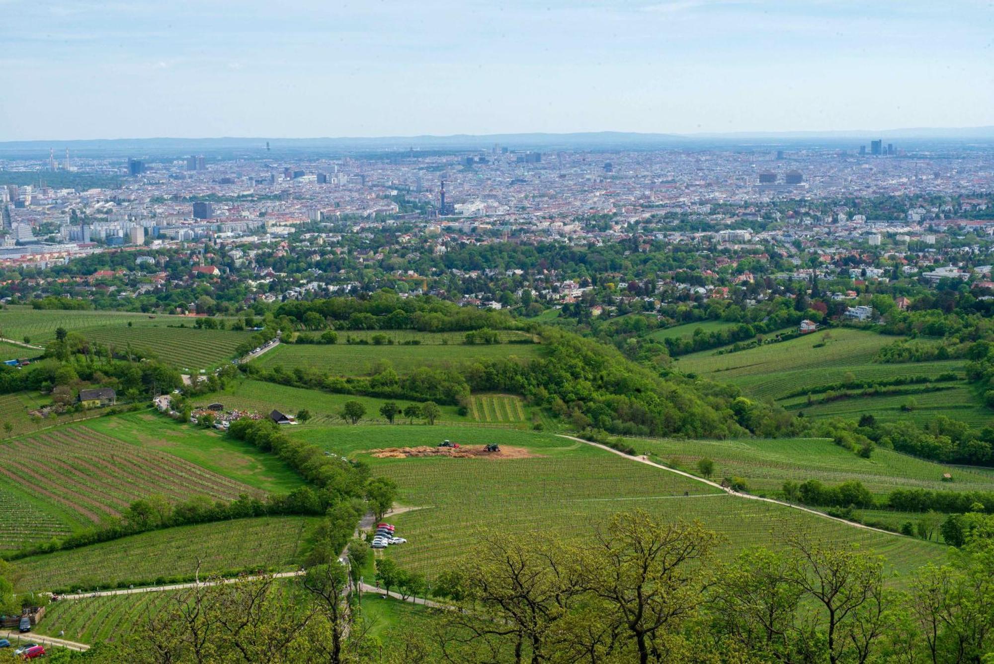 Herrlicher Ausblick Ueber Wien Экстерьер фото